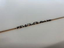 Afbeelding in Gallery-weergave laden, 7’2” Gliding Dutchman Egg

